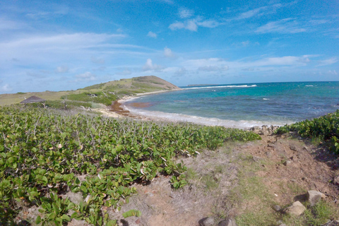 Saint Martin : Visite guidée de l&#039;île de Pinel avec trajet en ferry