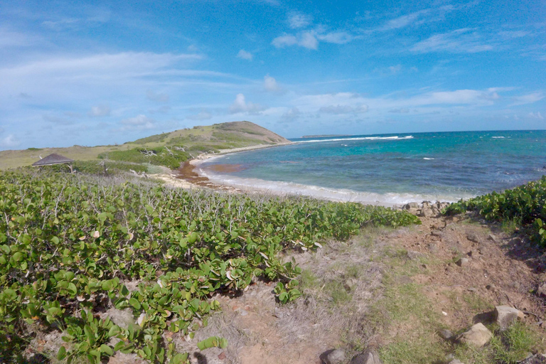 Saint Martin: Wycieczka z przewodnikiem po wyspie Pinel z rejsem promemSt Martin Pinel Island Wycieczka z przewodnikiem z rejsem promem + odbiór z hotelu