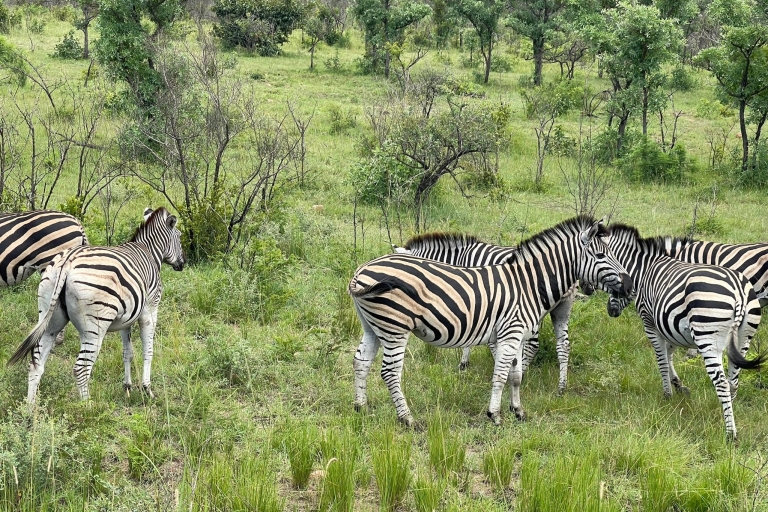 Safari de 2 días al Kruger Todo Incluido desde Johannesburgo
