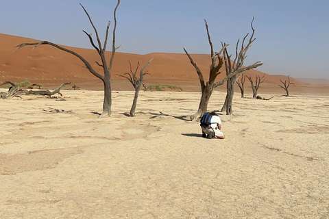 From Windhoek: 6-Day Namibia Safari with Lodging & Meals