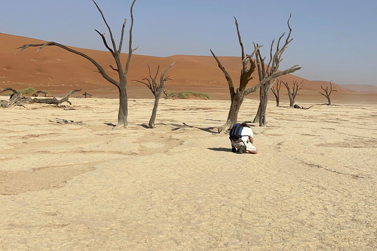 From Windhoek: 6-Day Namibia Safari with Lodging & Meals