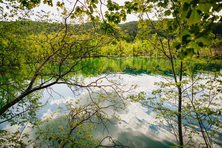 From Split or Trogir: Plitvice Lakes Tour with Entry Tickets Plitvice Lakes: Group tour from Trogir