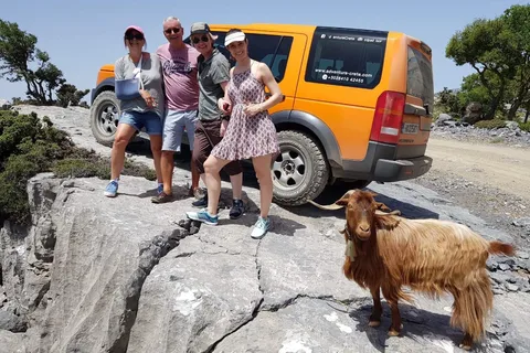 VIP dagvullende tour (het beste zien met professionals)