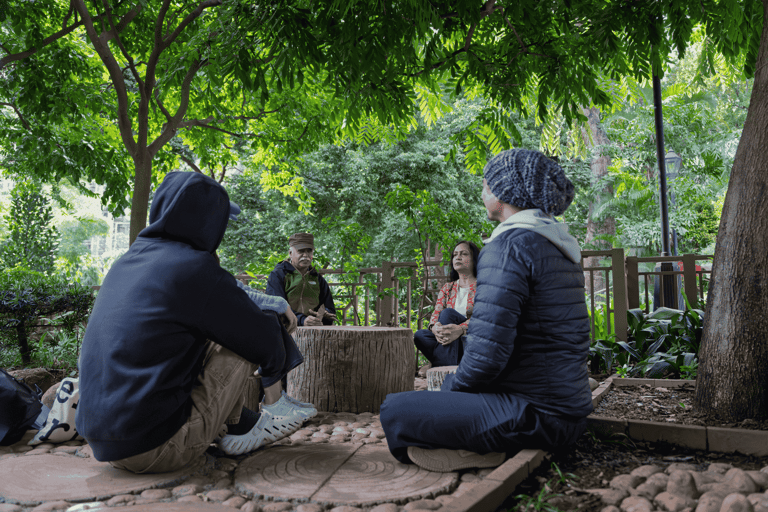 Hong Kong Eco-tourism: Guided Forest Bathing Experience Private Forest Therapy Session