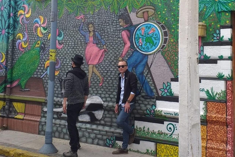 Rondleiding door straatkunstcultuur in Valparaíso en Viña del Mar