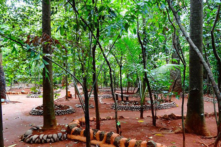 Kandy: Full-Day Tour with Historical Cultures