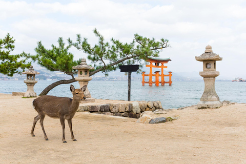 Från Osaka/Kyoto: Hiroshima och Miyajima privat tur