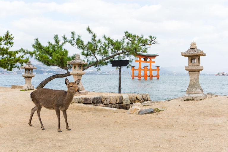 De Osaka/Kyoto: Excursão particular a Hiroshima e Miyajima