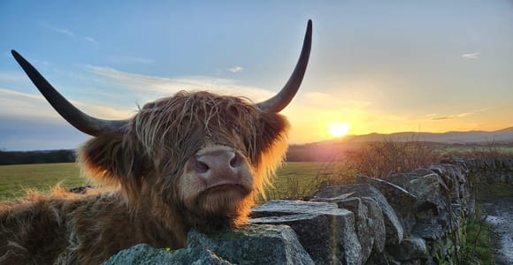 Private Tour durch die Highlands, Lochs und Schlösser ab Stirling