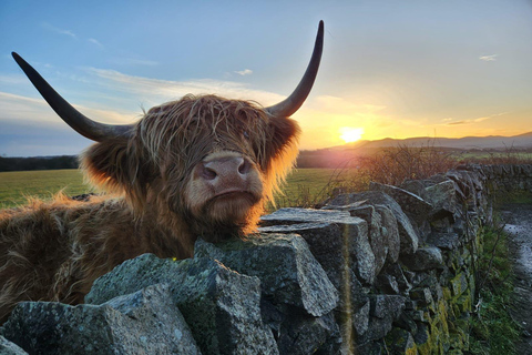 Visite privée des Highlands, Lochs et châteaux au départ de Stirling