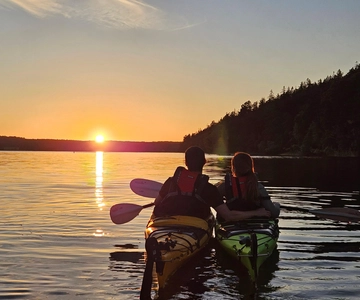 Stockholm: Sunset Kayak Tour on Lake Mälaren with Tea & Cake