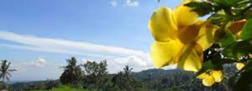 Bali : Randonnée sur la colline de Lemukih avec vue imprenable