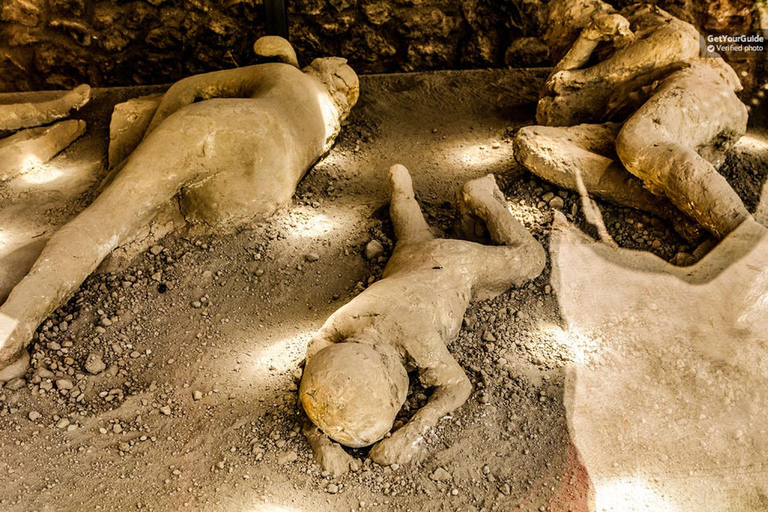 From Sorrento: Pompeii Skip-the-Line Ticket and Audioguide