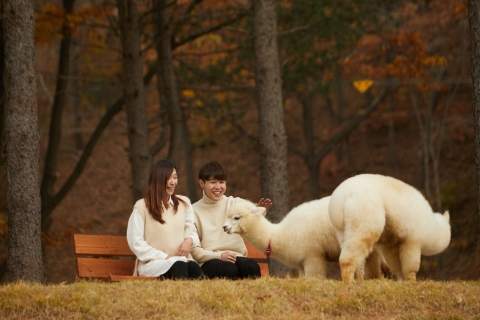 Seoul: Alpaca World & Nami Island (Optional Korean Garden) Group Tour with Garden, Meet at Myeongdong