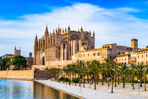 Palma de Mallorca en 1 Día: Tour a pie con guía digital15 € - ticket de entrada dúo