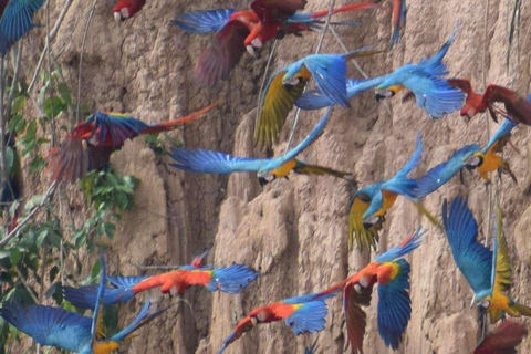 EXCURSION MACAWS CHUNCHO 4J/3N