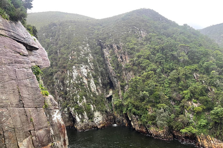 Tsitsikamma Day Trip with Optional Activities