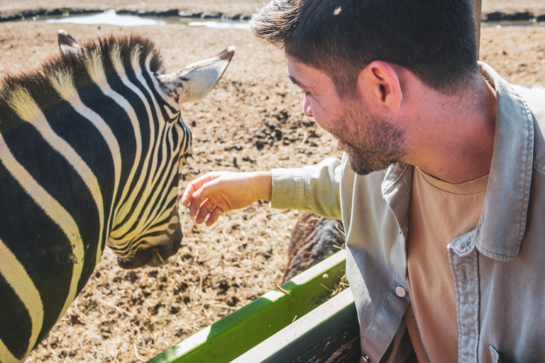 From Santiago: Rancagua Safari Park Zoo
