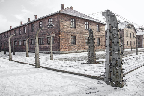 From Krakow: Auschwitz-Birkenau Tour Tour in Italian (from Meeting Point)