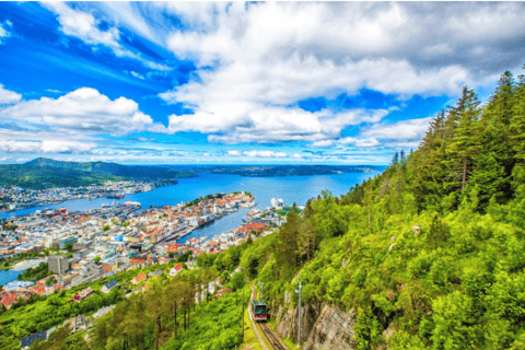 Bergen: Ulriken & Fløyen Tour (Cruise Friendly)