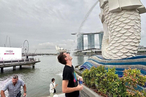 Chinatown Food Tour, River Cruise &amp; 2 top-visit Light Shows