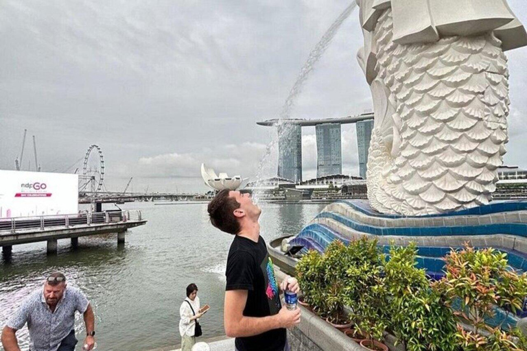 Chinatown Food Tour, River Cruise &amp; 2 top-visit Light Shows