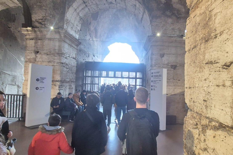 Rome: Colosseum, Roman Forum and Palatine Hill Tour