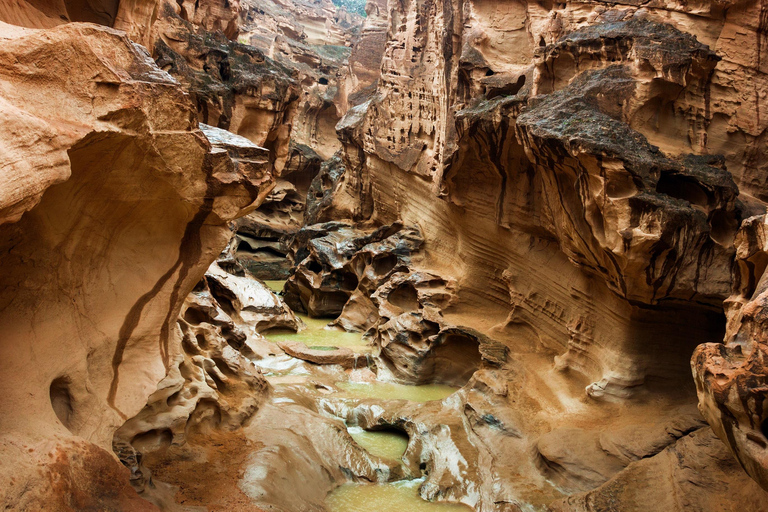 Sharm El-Sheij Excursión de un día al Templo de Petra con almuerzo