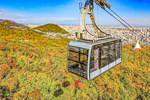 Sapporo:Daibutsu Buddha,White Lover Park&Jozankei Onsen Tour Departing from Sapporo TV Tower