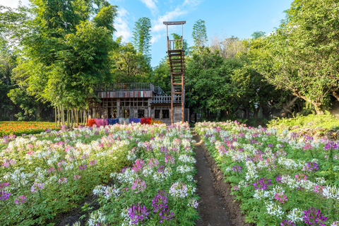 Chiang Mai Sticky Waterfall & Dantewada with Hotel Transfer