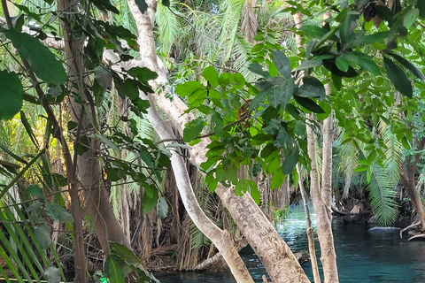 Moshi/Arusha: Chemka Hot Springs Materuni Waterfall Day tour 2 in 1 : Materuni & Chemka tour from Moshi