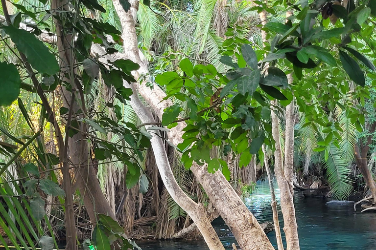 Moshi/Arusha: Chemka Hot Springs Materuni Waterfall Day tour 2 in 1 : Materuni & Chemka tour from Moshi