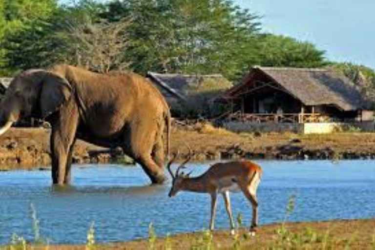 Excursion d&#039;une journée au parc national d&#039;Amboseli