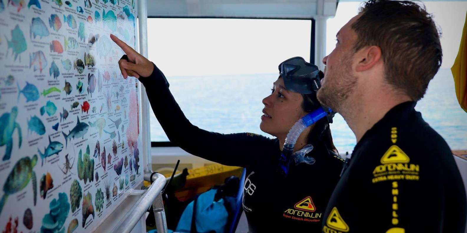 Cairns: All-Inclusive Great Barrier Reef Half-Day Snorkeling