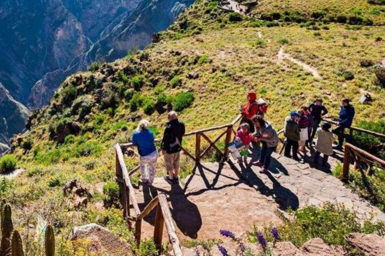 Escursione di un giorno nel Canyon del Colca + trasferimento a Puno con i pasti