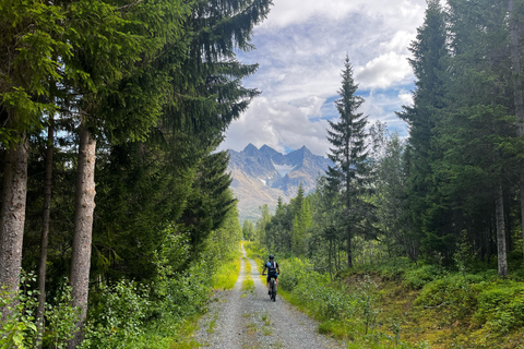 Tromsø: Lyngen Alps Electric Mountain Bike Tour