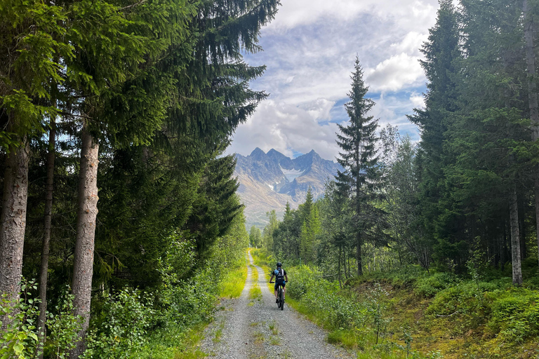 Tromsø: E-Mountainbike-Tour durch die Lyngen-Alpen