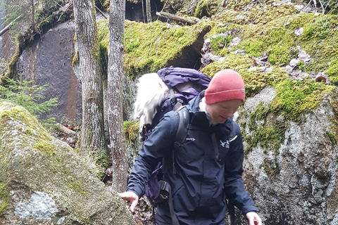 Oslo: Østmarka National Park Guided Hike with Food over Fire