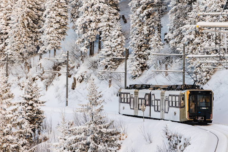 Wycieczka objazdowa Królowa Gór, Mt. Rigi + Jezioro Lucerna + Spa