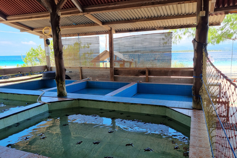 Mergulho com snorkel nas Ilhas Gili: Gili Trawangan, Meno e AirInício na área de Lombok