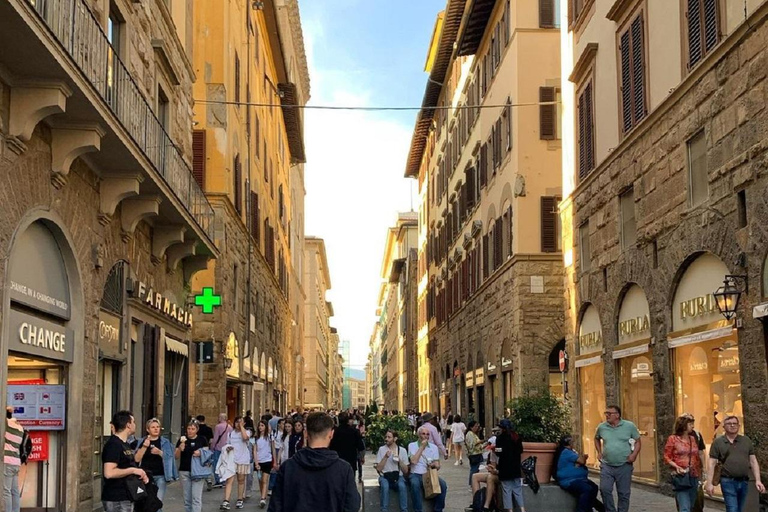 From Rome private Tour to Florence and Pisa