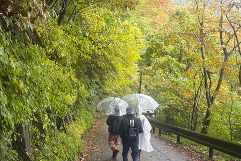 Kanazawa: Shirakawago, Gokayama, and Takayama Full Day Trip