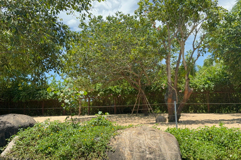 فينبيرل فينووندرز نام هوي آن مع سفاري وحديقة مائيةجولة خاصة بدون بوفيه أو عربة