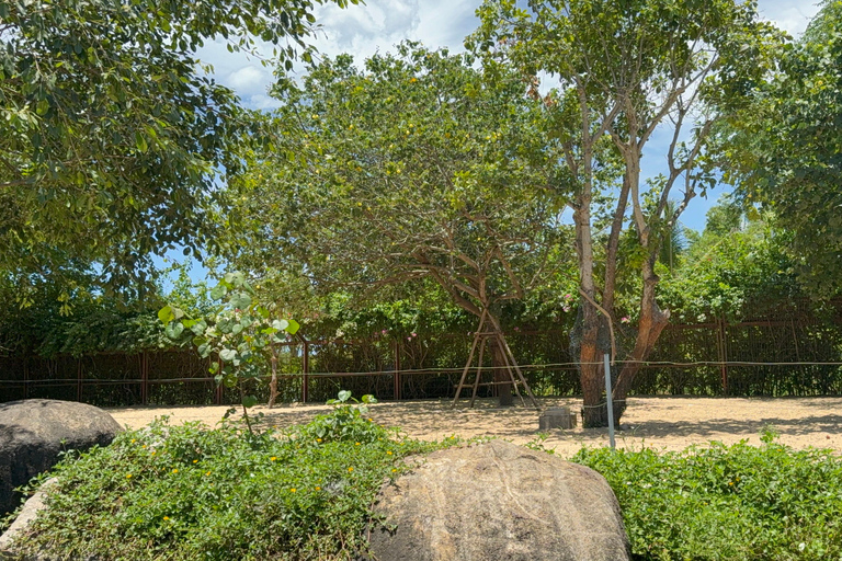 فينبيرل فينووندرز نام هوي آن مع سفاري وحديقة مائيةجولة خاصة بدون بوفيه أو عربة