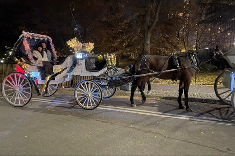 NYC: Central Park Christmas Lights Horse-Drawn Carriage Ride