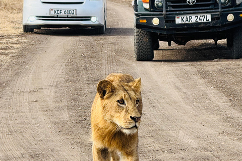 Nairobi Park Safari, Sheldrick's Orphanage & Giraffe Center Shared Drive in Open-Roof Van Game Drive