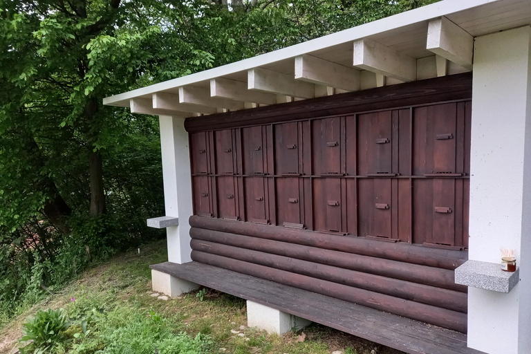 Em Ljubljana, você pode conhecer o maravilhoso castelo a pé e novos lugares :)O castelo de Liubliana a pé e em novos lugares da cidade