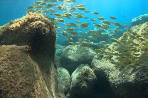 Grande Canarie : tour en bateau avec masque et tuba sur la côte ouest