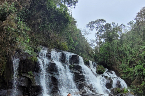 CAMINHO DO OURO - Geführte Tour durch den Atlantischen Wald, Wasserfälle und Geschichten.