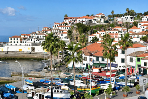 Ribeira Brava: West Madeira Tour with Fanal Forest & Pools